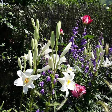 La Sereine Σπίτι διακοπών *