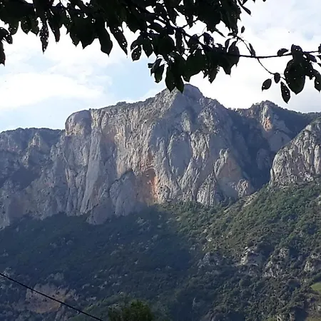 La Sereine Tatil Evi *